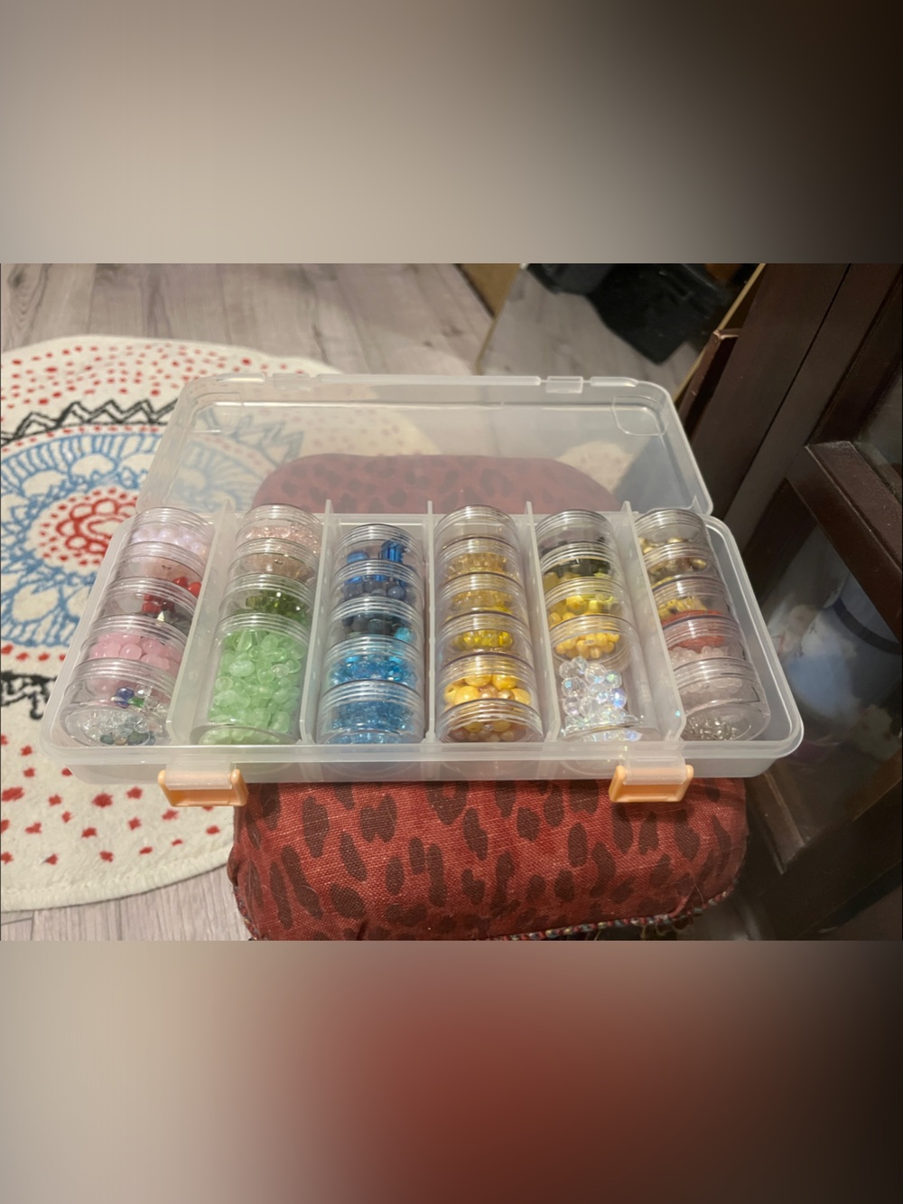 Clear Plastic Craft Storage Box with Multiple Removable Jars - with beads